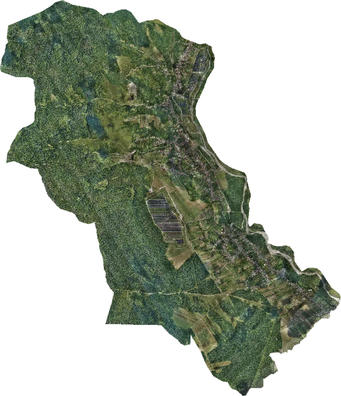Ortofotoplanul întregului teritoriu al comunei Șotânga